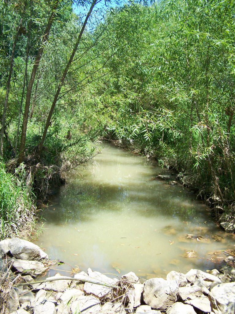 Creek Relocation Martin, TN