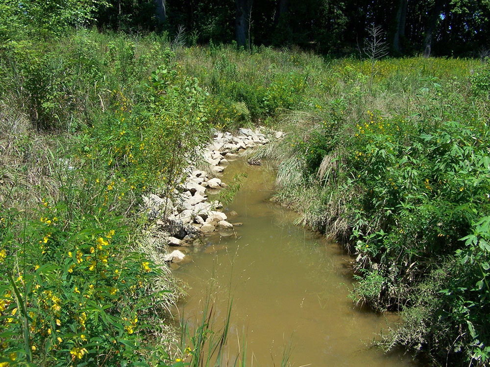 Creek Relocation Martin, TN