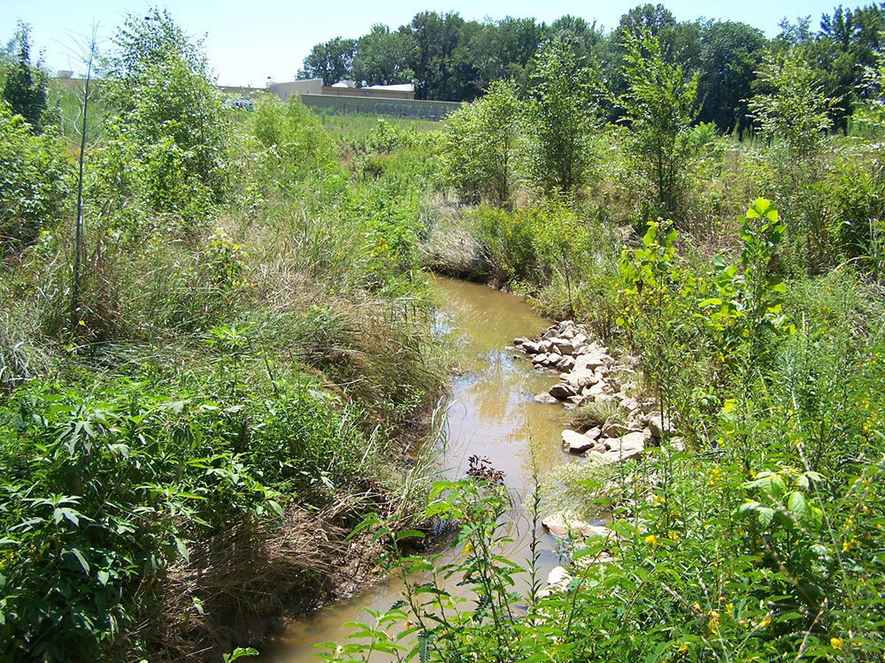 Creek Relocation Martin, TN