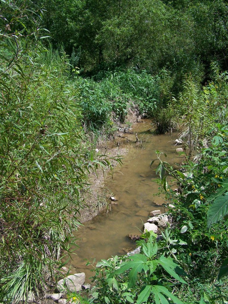 Creek Relocation Martin, TN