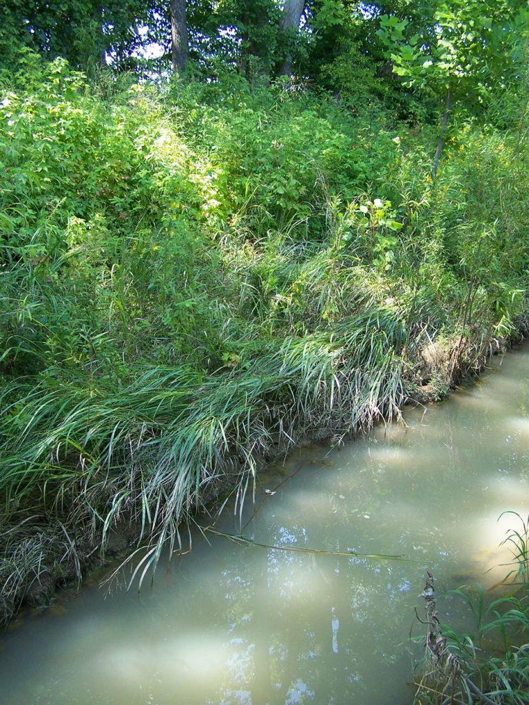 Creek Relocation Martin, TN