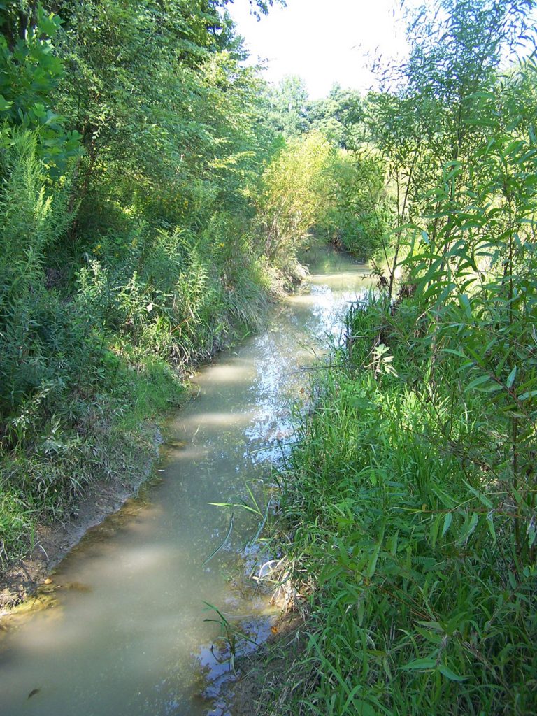 Creek Relocation Martin, TN