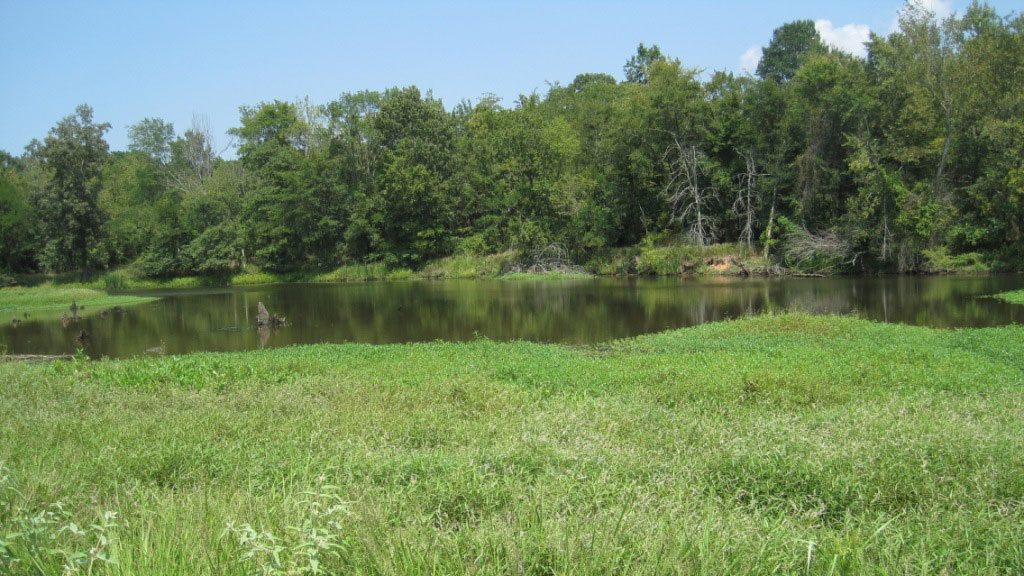 Wetlands Mitigation Pine Bluff, AR